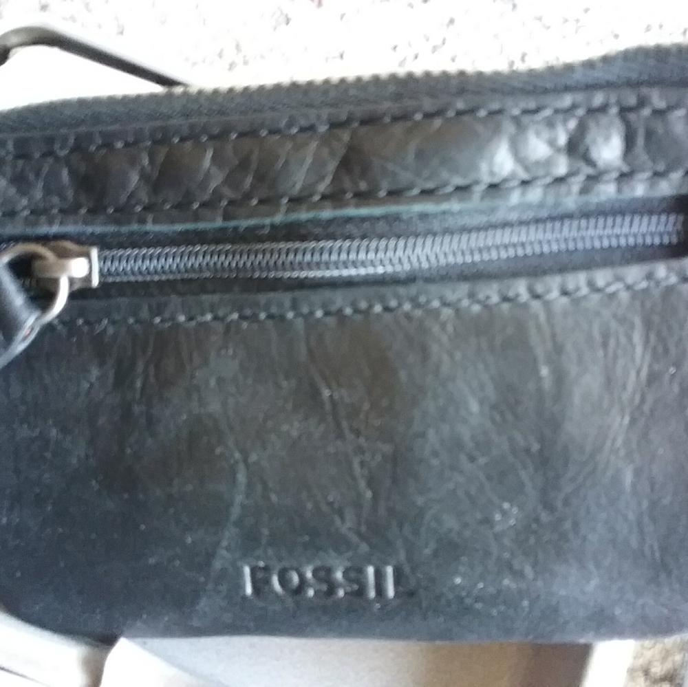 Fossil Coin Holder - Picture 4 of 5